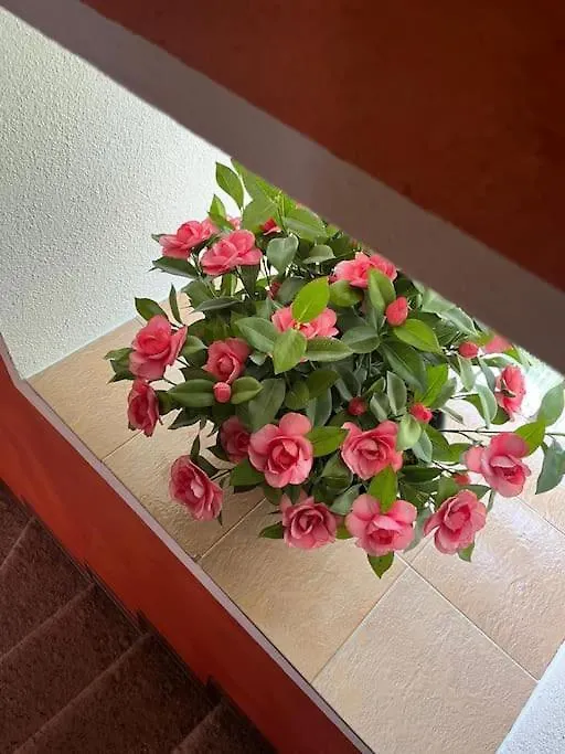 La Casetta Delle Nuvole Mazzo di Valtellina Casa vacanze